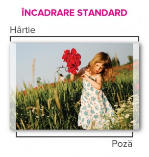 incadrare standard