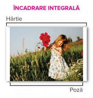 incadrare integrala